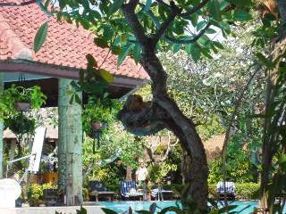 ai377.photobucket.com_albums_oo217_margaridadf_P6060047_1.jpg