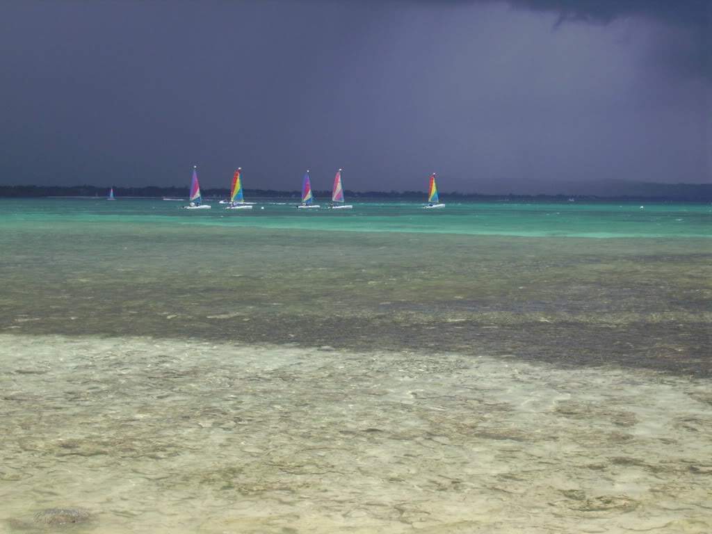 ai378.photobucket.com_albums_oo230_Sofi2008_Jamaica2006II248.jpg