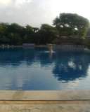 ai378.photobucket.com_albums_oo230_Sofi2008_th_Imagem100.jpg