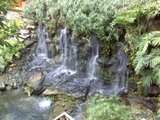 ai378.photobucket.com_albums_oo230_Sofi2008_th_mxicoesuia017.jpg