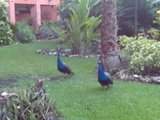 ai378.photobucket.com_albums_oo230_Sofi2008_th_mxicoesuia043.jpg