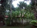 ai401.photobucket.com_albums_pp95_Poeiras_th_BUNGALOW.jpg
