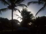 ai401.photobucket.com_albums_pp95_Poeiras_th_PordosolCoqueiros.jpg