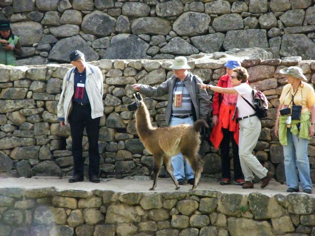 ai409.photobucket.com_albums_pp178_kl1462832_200909_20Peru_DSCF4861.jpg