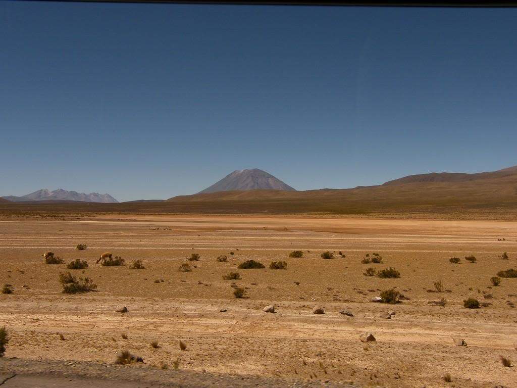 ai409.photobucket.com_albums_pp178_kl1462832_200909_20Peru_DSCF7049.jpg