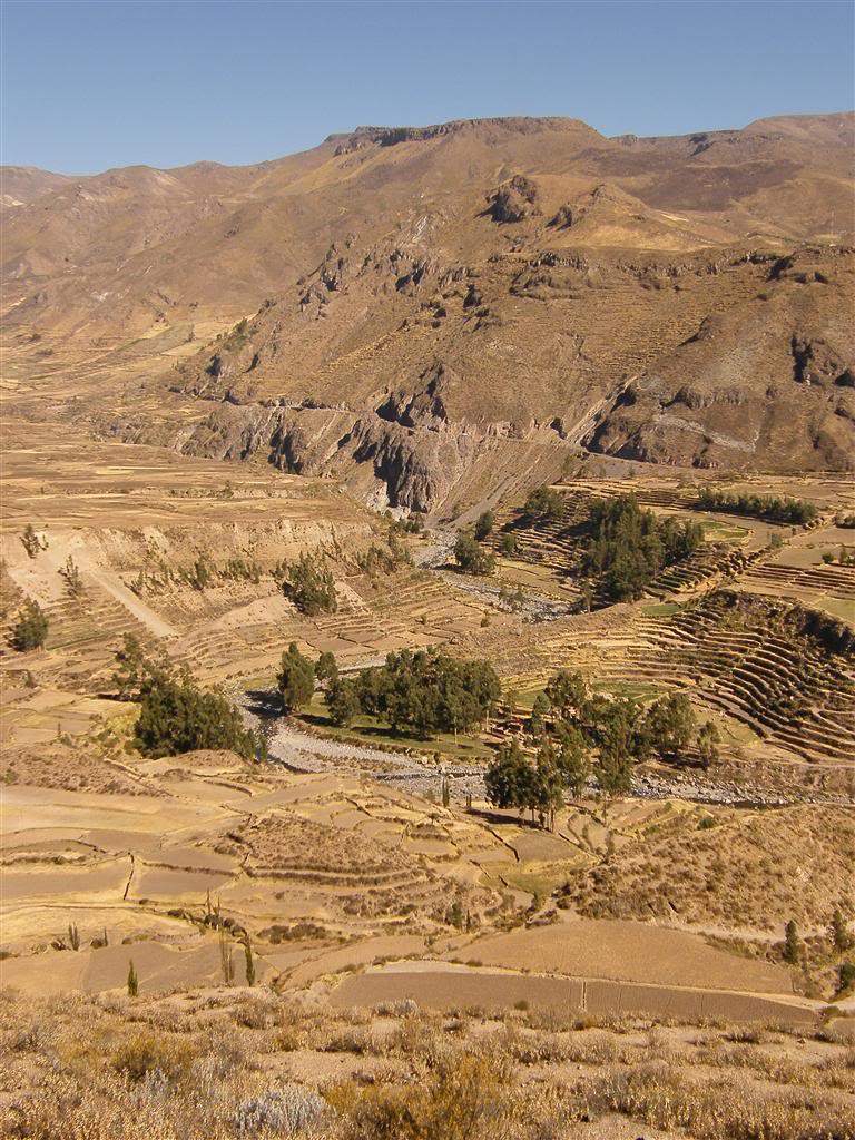ai409.photobucket.com_albums_pp178_kl1462832_200909_20Peru_DSCF7347JPG_768x1024.jpg