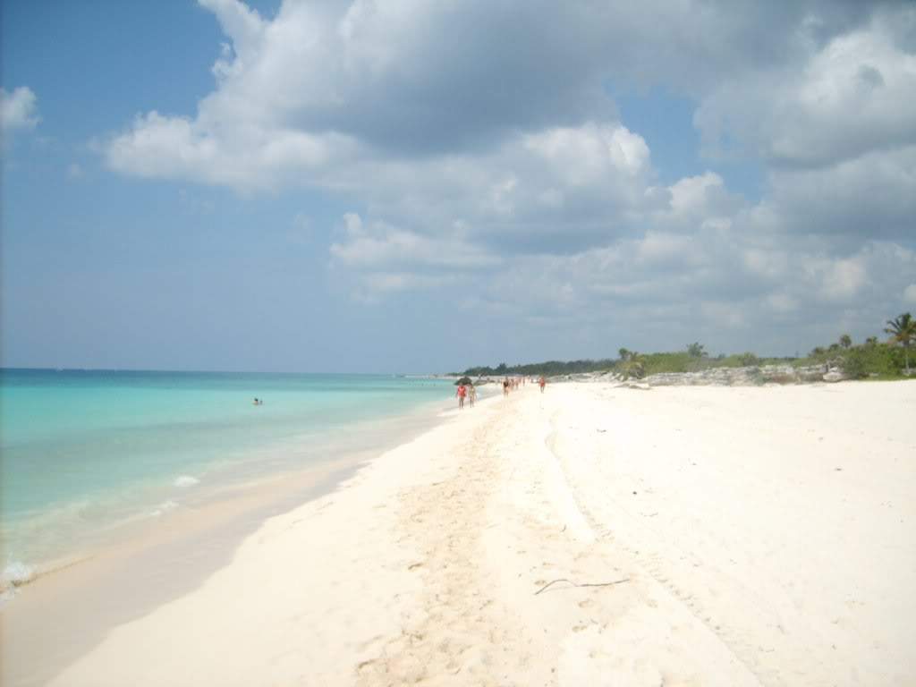 ai409.photobucket.com_albums_pp178_kl1462832_S5000682.jpg