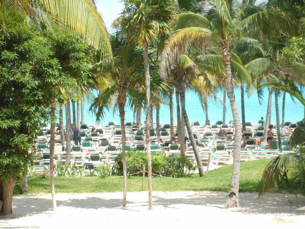 ai409.photobucket.com_albums_pp178_kl1462832_S5000698.jpg