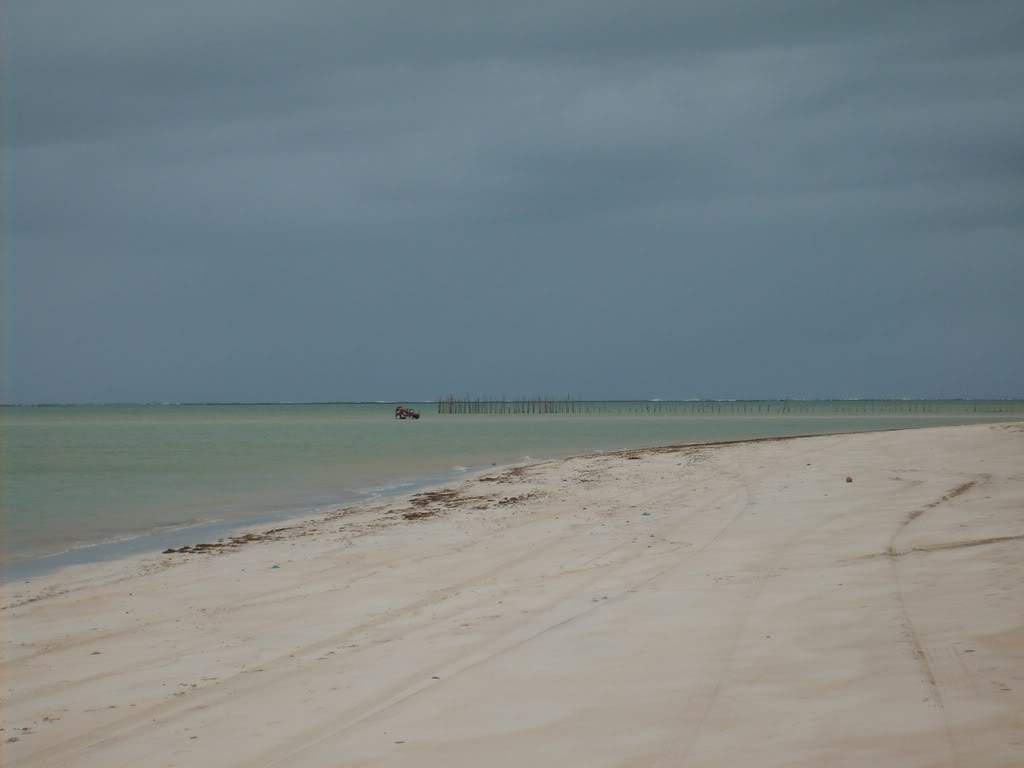 ai409.photobucket.com_albums_pp178_kl1462832_S5001102_small.jpg
