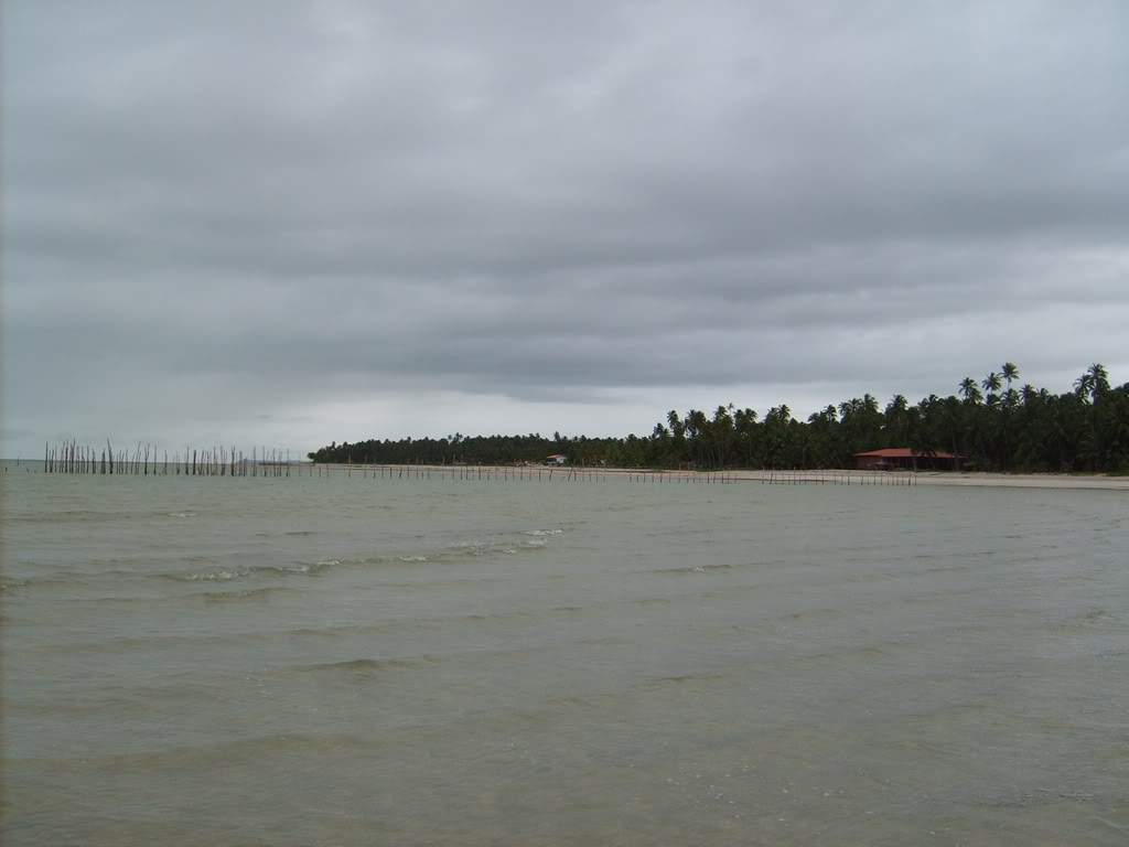 ai409.photobucket.com_albums_pp178_kl1462832_S5001106_small.jpg