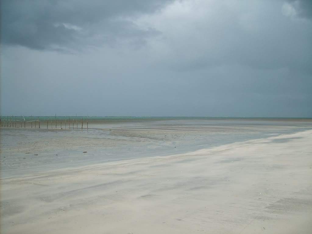 ai409.photobucket.com_albums_pp178_kl1462832_S5001150_small.jpg