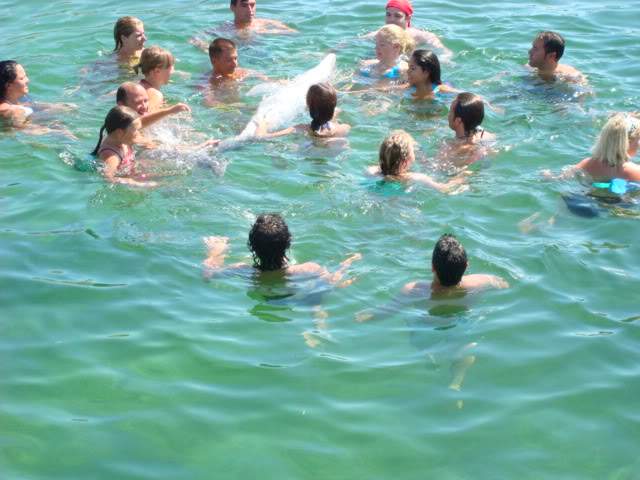 ai418.photobucket.com_albums_pp264_sandracosta1981_DSC02707.jpg