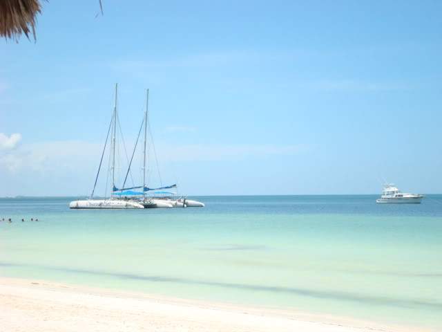 ai418.photobucket.com_albums_pp264_sandracosta1981_DSC02743.jpg