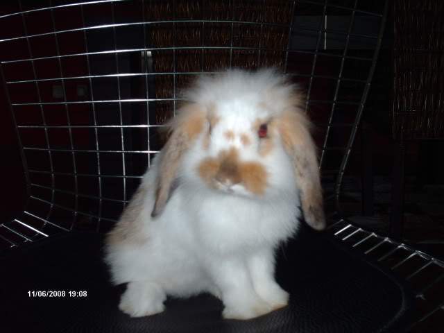 ai418.photobucket.com_albums_pp264_sandracosta1981_HPIM1223.jpg