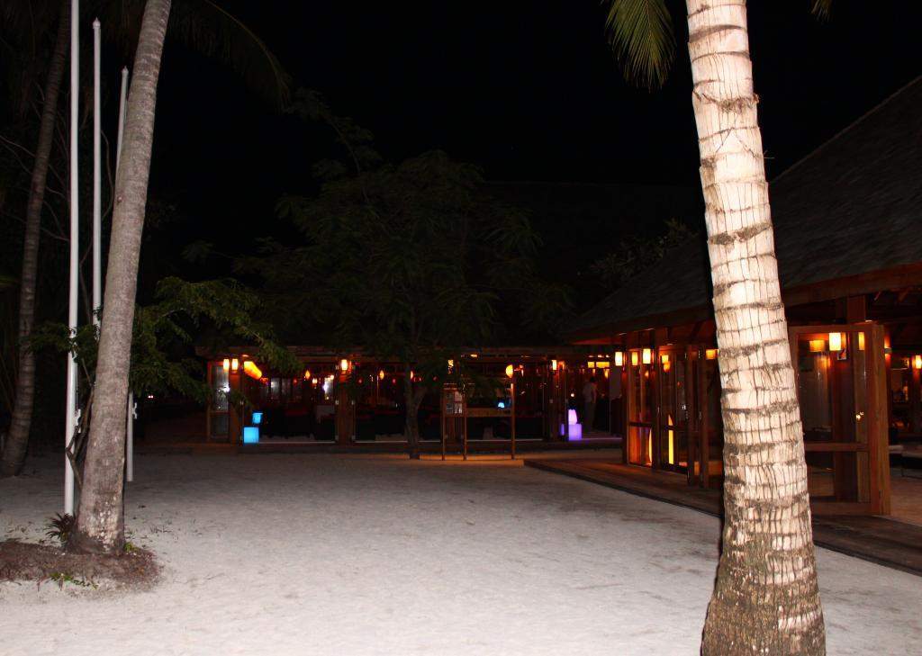 ai42.photobucket.com_albums_e319_CichlidAdventures_17_zps550cf7d1.jpg