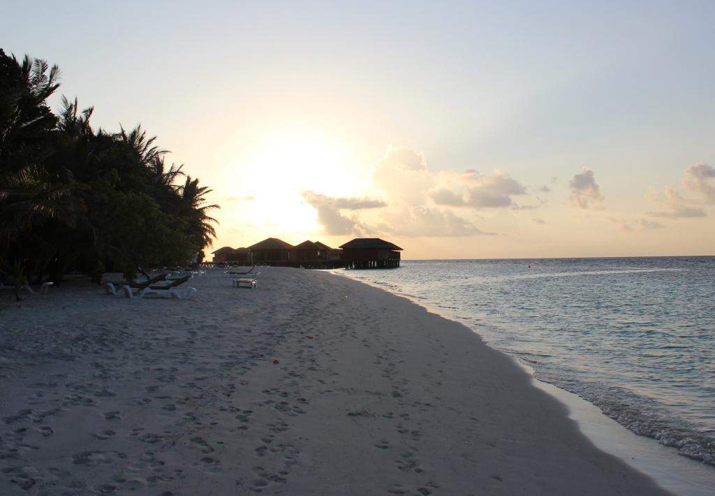 ai42.photobucket.com_albums_e319_CichlidAdventures_31_zpsbca71c29.jpg
