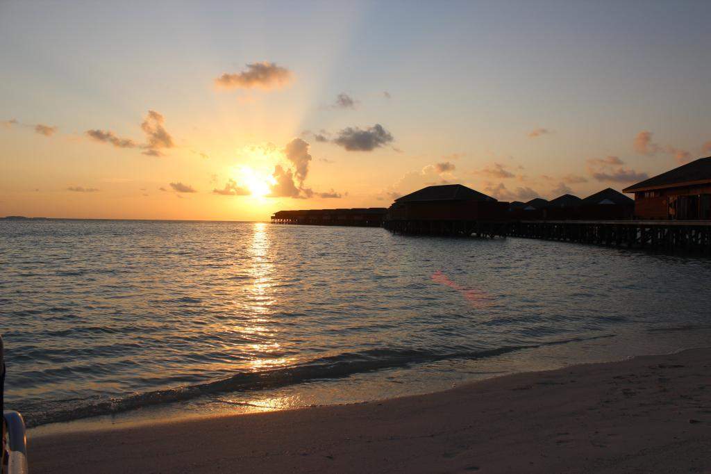 ai42.photobucket.com_albums_e319_CichlidAdventures_34_zps02c2a1b6.jpg