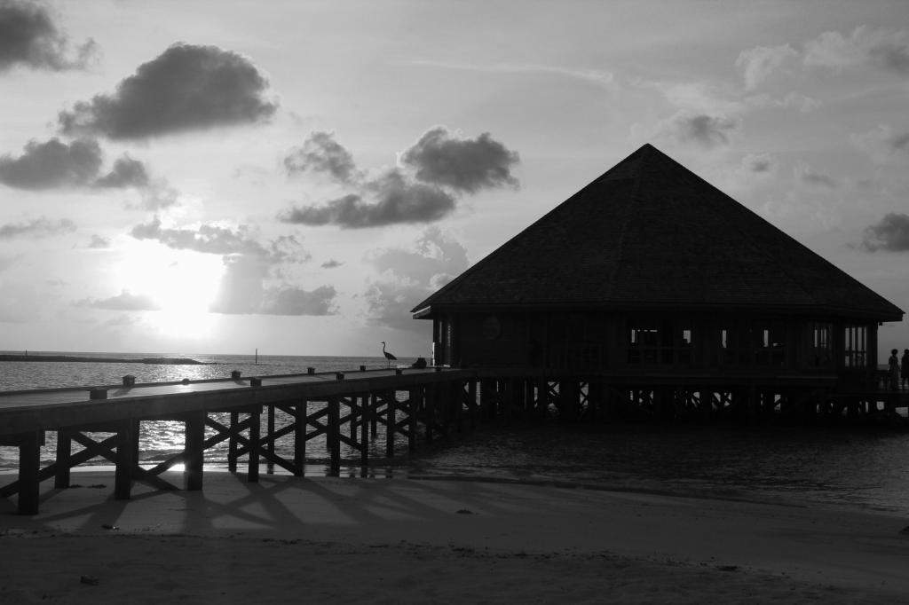 ai42.photobucket.com_albums_e319_CichlidAdventures_6_zpsc7991f89.jpg