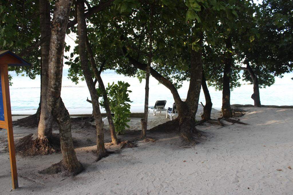 ai42.photobucket.com_albums_e319_CichlidAdventures_IMG_1439_zpscdb58d5a.jpg
