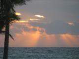 ai426.photobucket.com_albums_pp345_MarisaDavid_61b616a8.jpg