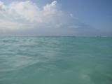 ai426.photobucket.com_albums_pp345_MarisaDavid_9cff8841.jpg