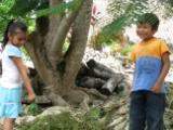 ai426.photobucket.com_albums_pp345_MarisaDavid_abe1c5ba.jpg