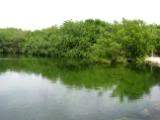 ai426.photobucket.com_albums_pp345_MarisaDavid_b5364a29.jpg