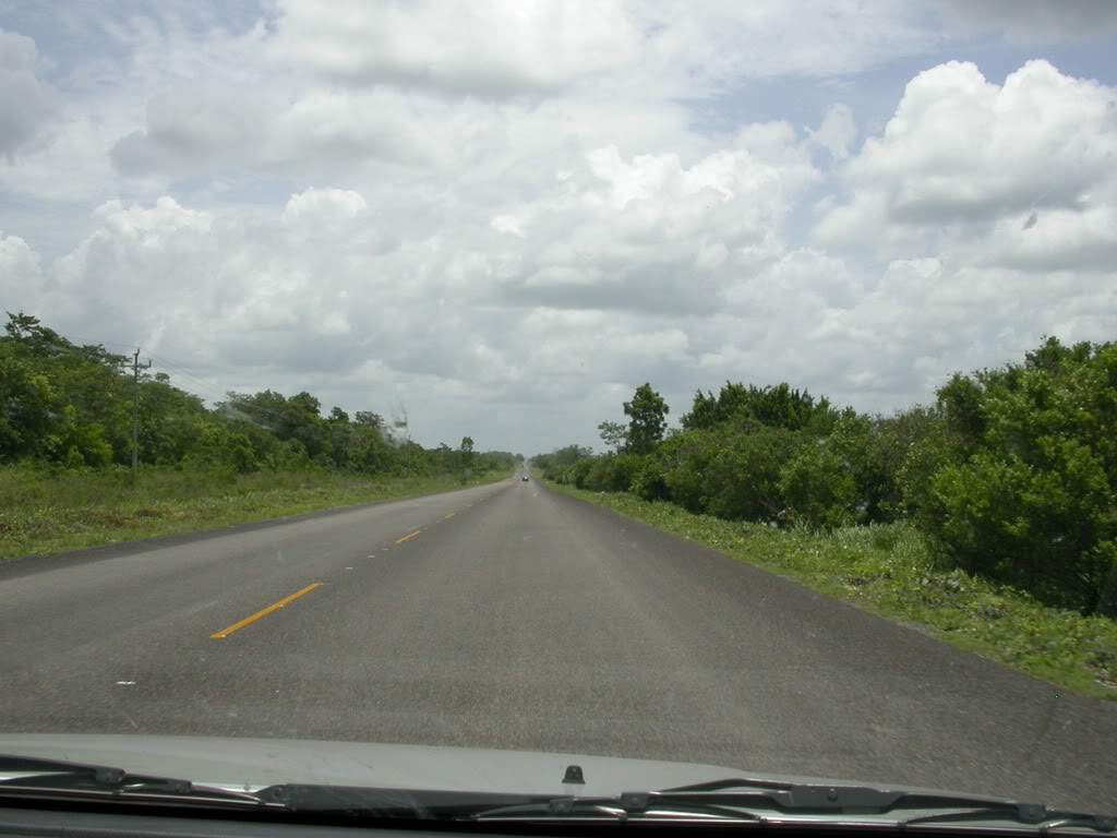 ai43.photobucket.com_albums_e382_nunovasques_DSCN0024.jpg