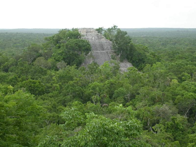 ai43.photobucket.com_albums_e382_nunovasques_DSCN0142.jpg