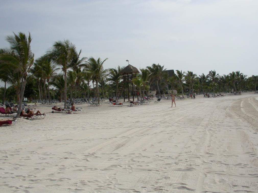 ai43.photobucket.com_albums_e382_nunovasques_DSCN9825.jpg