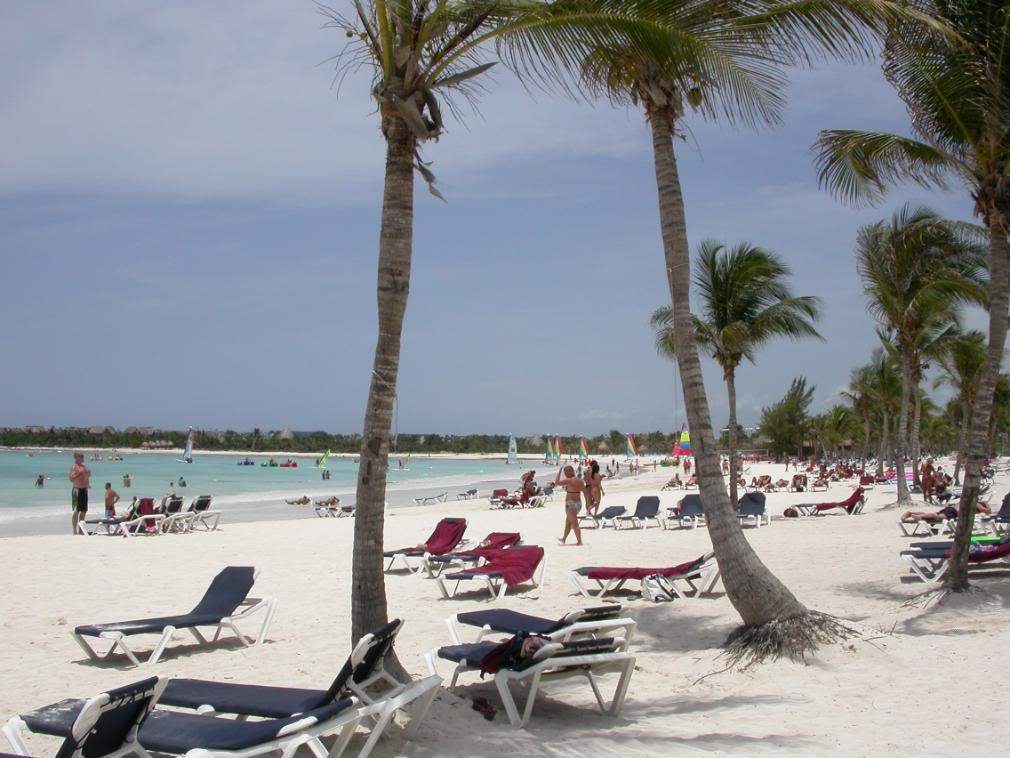 ai43.photobucket.com_albums_e382_nunovasques_DSCN9828.jpg