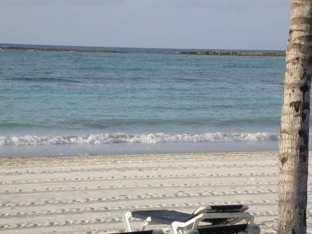 ai43.photobucket.com_albums_e382_nunovasques_DSCN9884_1.jpg