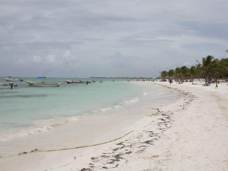 ai43.photobucket.com_albums_e382_nunovasques_DSCN9886.jpg
