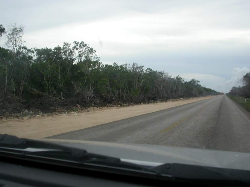 ai43.photobucket.com_albums_e382_nunovasques_DSCN9966.jpg