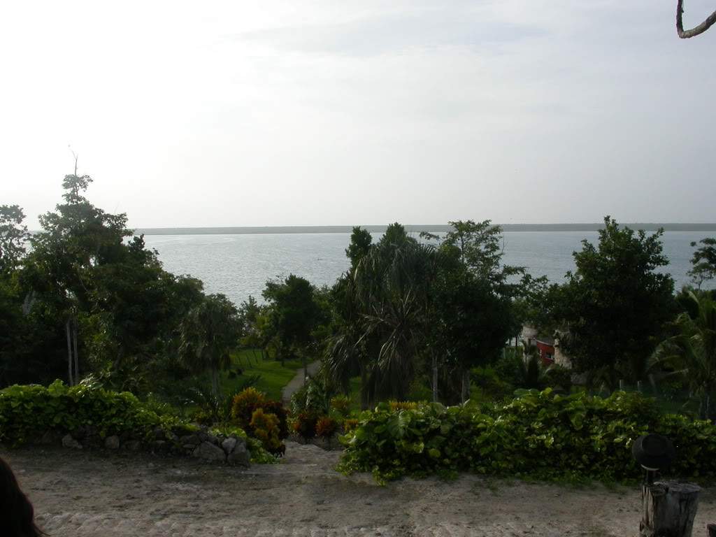 ai43.photobucket.com_albums_e382_nunovasques_DSCN9974.jpg