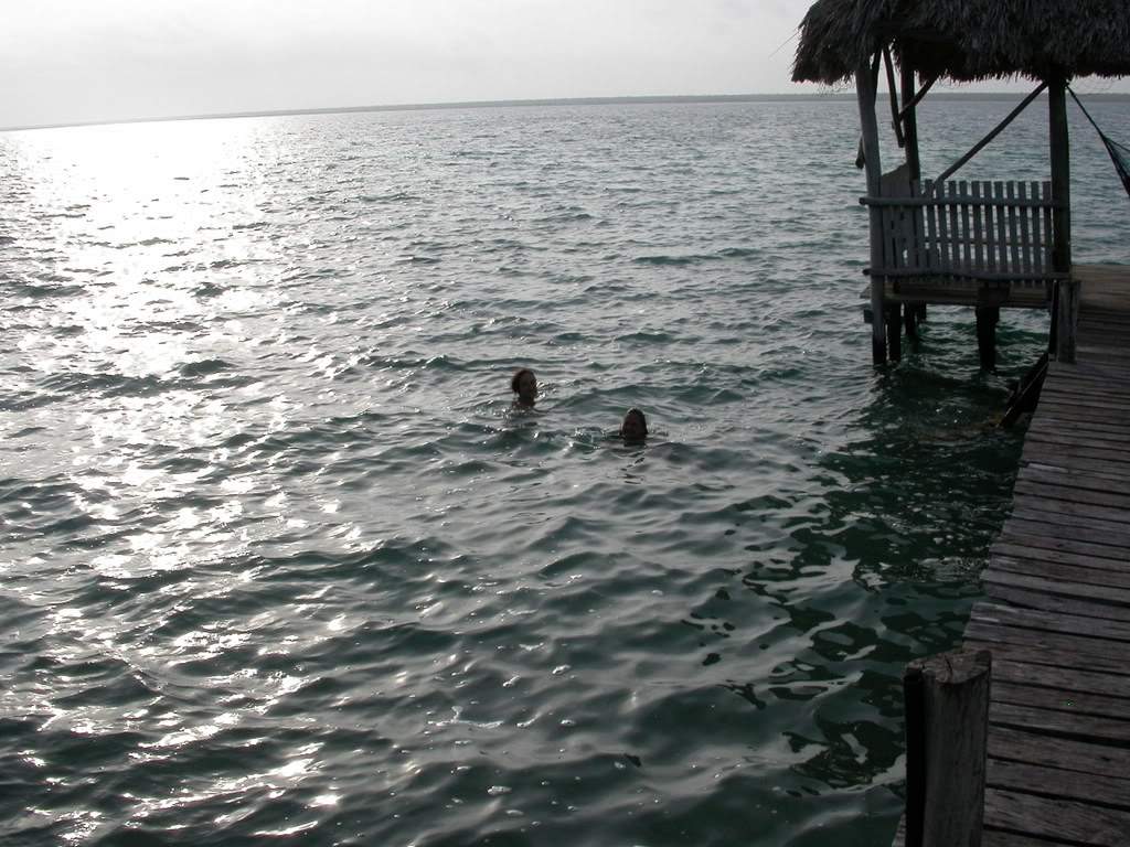 ai43.photobucket.com_albums_e382_nunovasques_DSCN9975.jpg