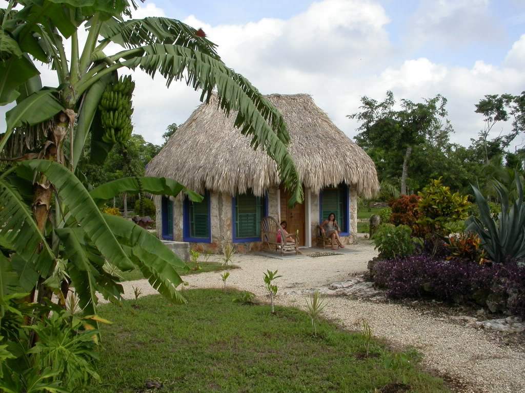 ai43.photobucket.com_albums_e382_nunovasques_DSCN9977.jpg
