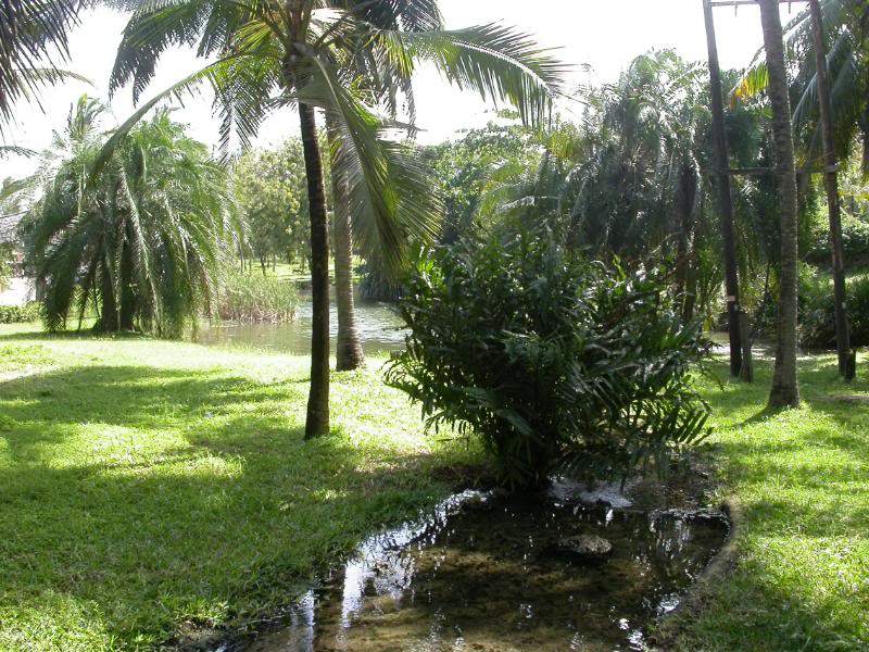 ai43.photobucket.com_albums_e382_nunovasques_Kenya_DSCN0111.jpg