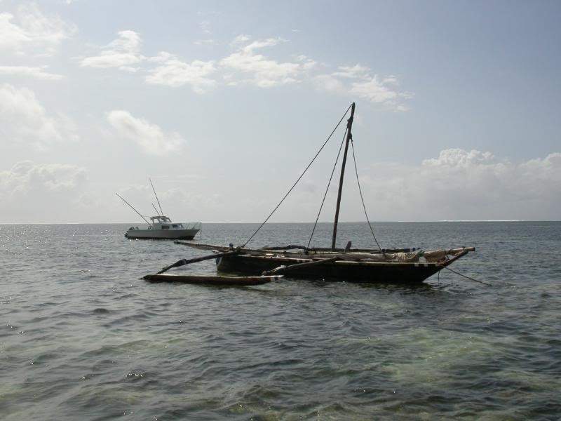 ai43.photobucket.com_albums_e382_nunovasques_Kenya_DSCN0171.jpg
