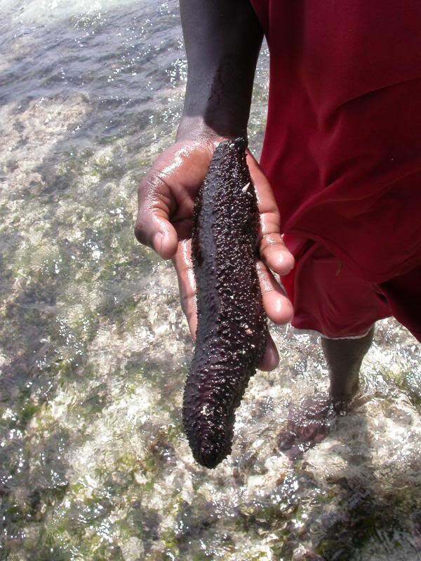 ai43.photobucket.com_albums_e382_nunovasques_Kenya_DSCN0187.jpg