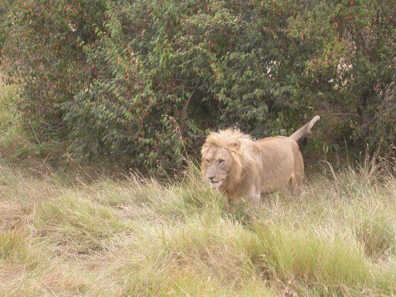 ai43.photobucket.com_albums_e382_nunovasques_Kenya_DSCN0275.jpg