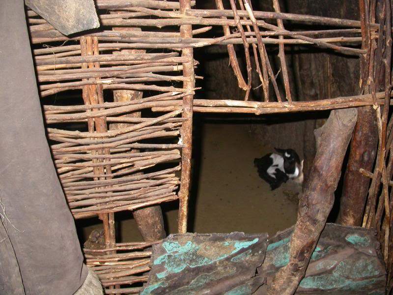 ai43.photobucket.com_albums_e382_nunovasques_Kenya_DSCN0406.jpg