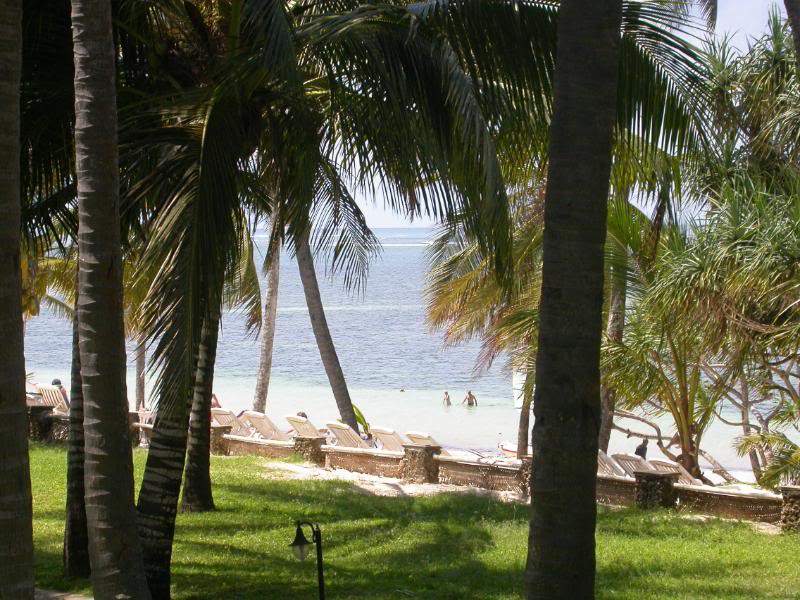 ai43.photobucket.com_albums_e382_nunovasques_Kenya_DSCN0522.jpg