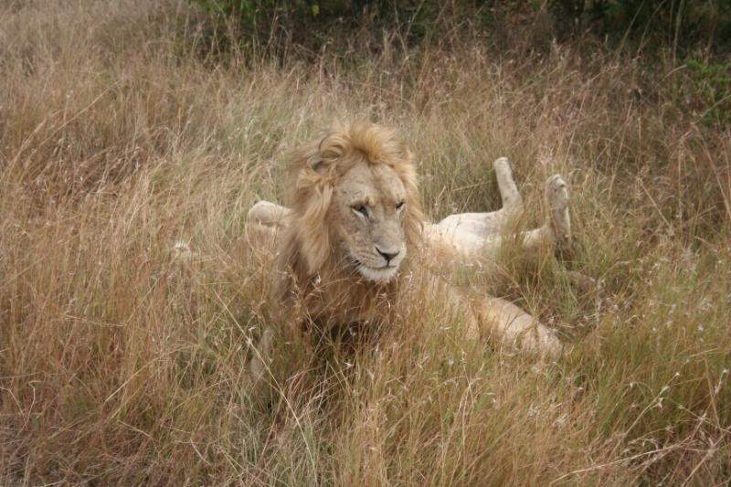 ai43.photobucket.com_albums_e382_nunovasques_Kenya_IMG_4599.jpg