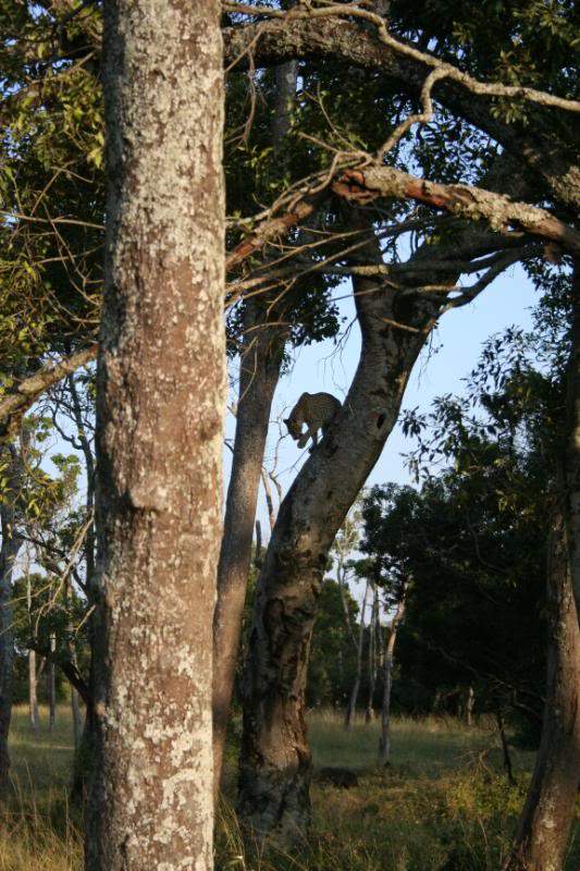 ai43.photobucket.com_albums_e382_nunovasques_Kenya_IMG_4821.jpg