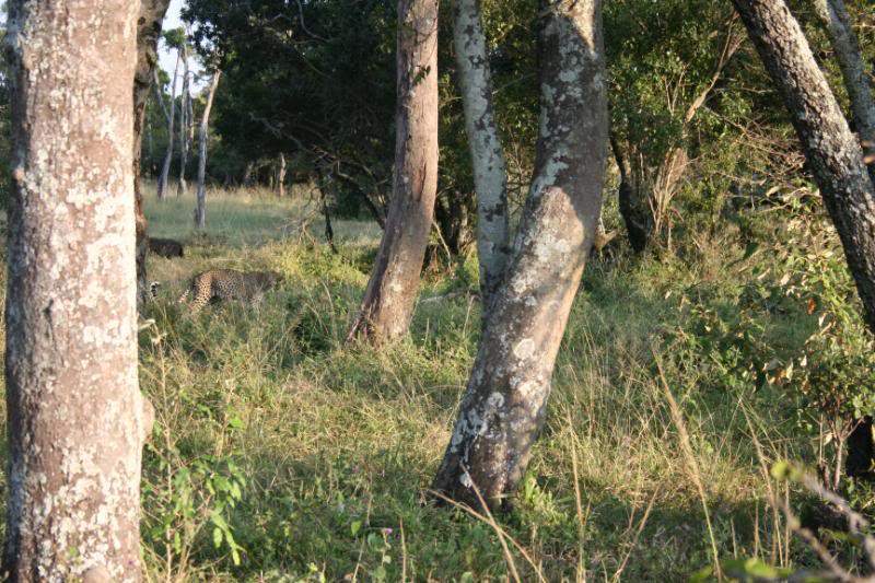 ai43.photobucket.com_albums_e382_nunovasques_Kenya_IMG_4836.jpg
