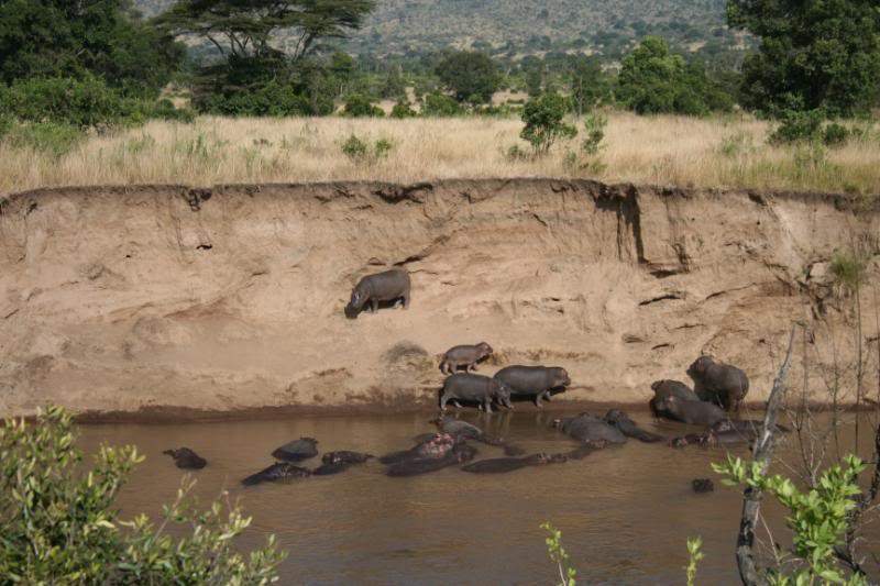 ai43.photobucket.com_albums_e382_nunovasques_Kenya_IMG_5040.jpg