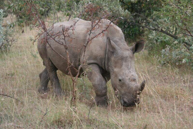 ai43.photobucket.com_albums_e382_nunovasques_Kenya_IMG_5128.jpg