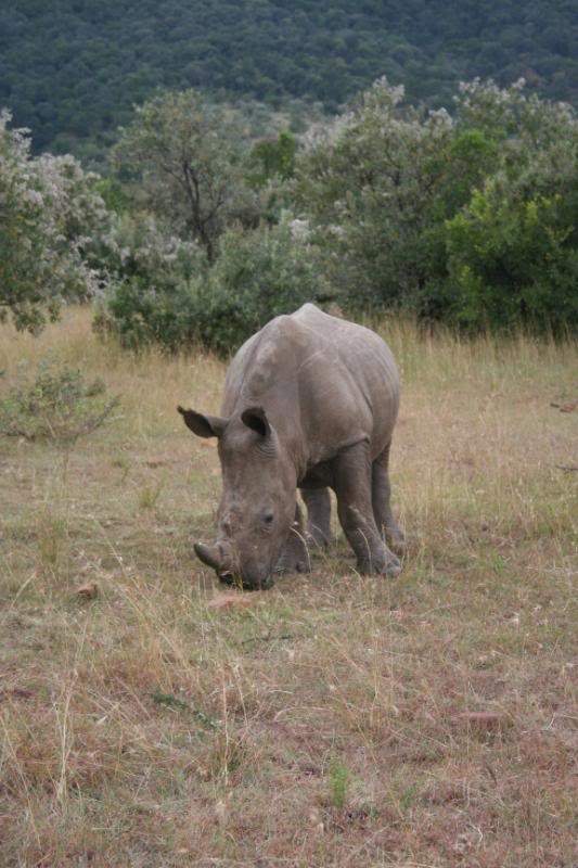 ai43.photobucket.com_albums_e382_nunovasques_Kenya_IMG_5143.jpg