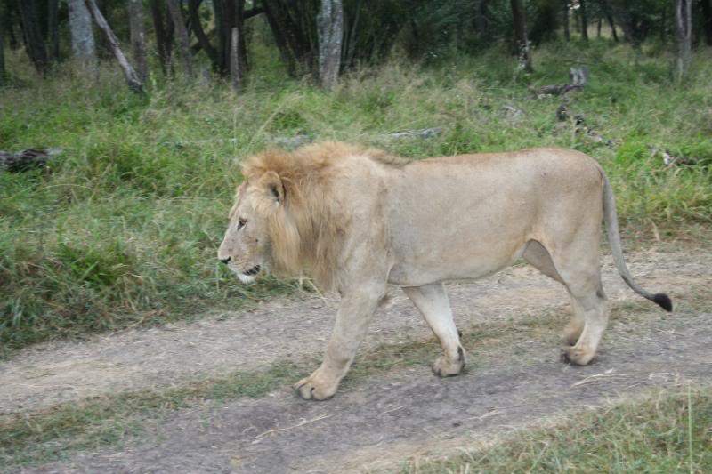 ai43.photobucket.com_albums_e382_nunovasques_Kenya_IMG_5215.jpg
